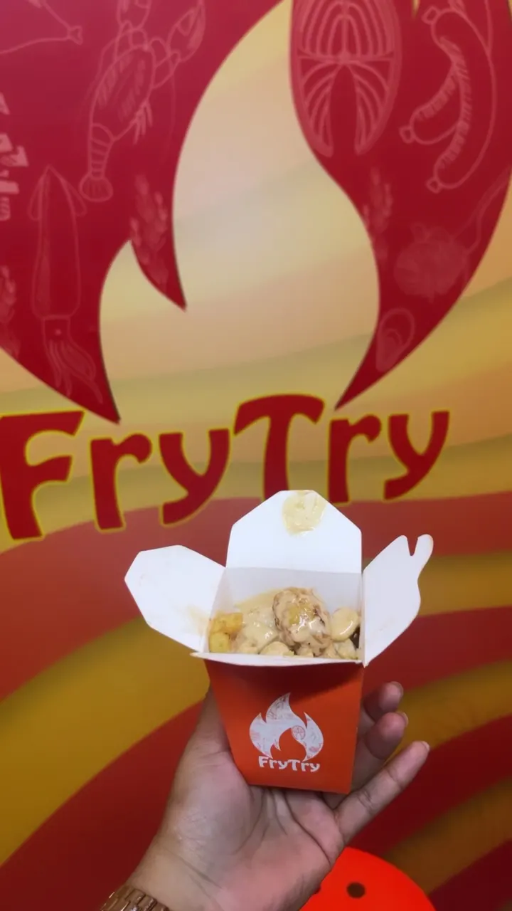FryTry