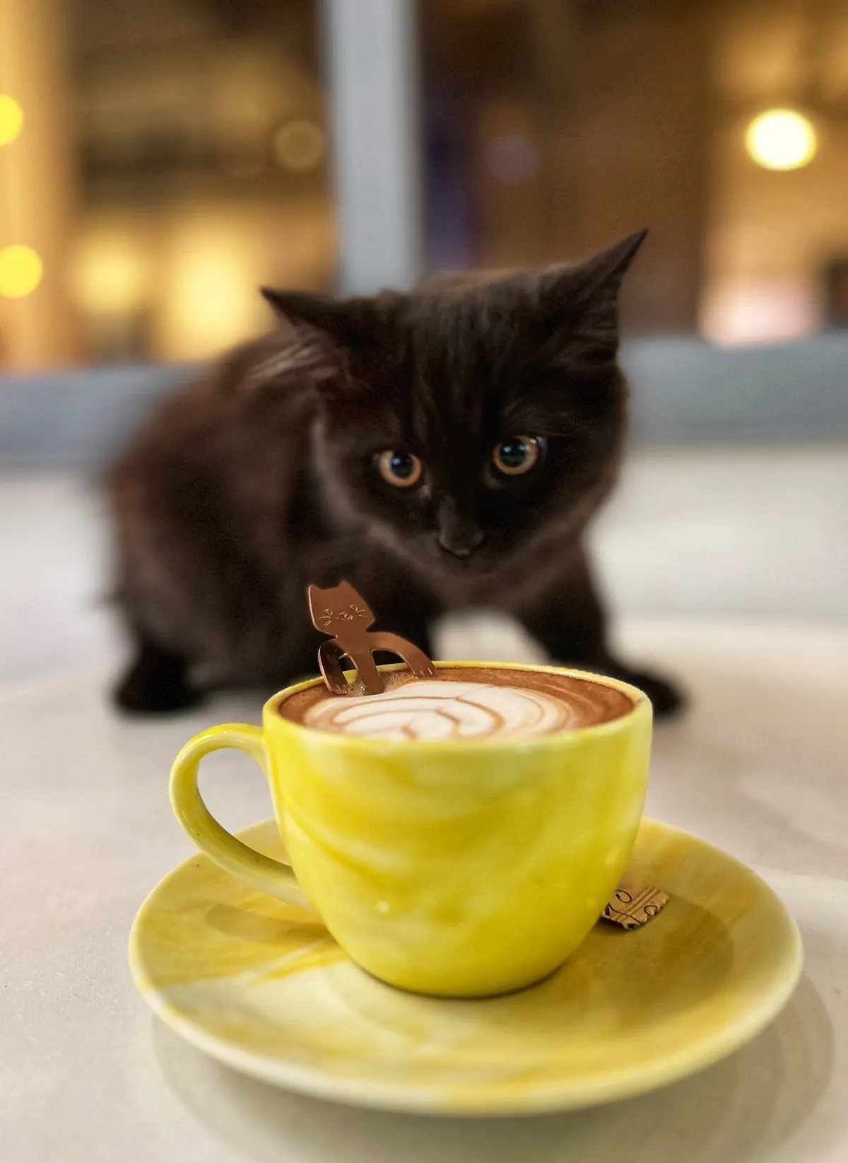 Furrycafe